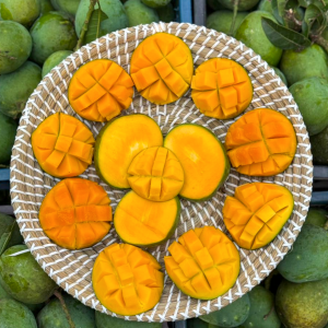 হিম সাগর আম